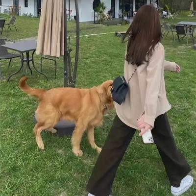 探查医秘